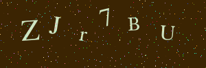 Validation image